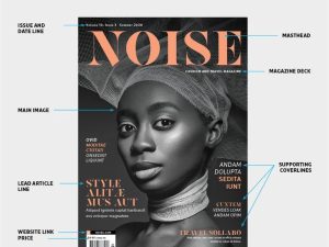 Revistas